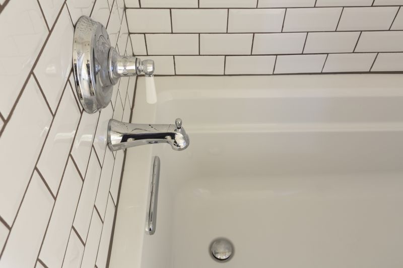 Accessible Bath Remodeling detail