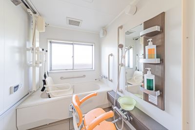 Accessible Bath Remodeling detail